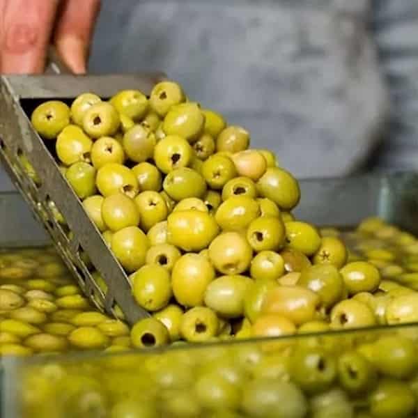 تصویر 3 از قیمت خرید زیتون بی هسته درشت  + فروش ویژه